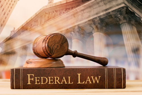 Tampa federal criminal lawyer depicted through a gavel resting on a book labeled Federal Law in front of a courthouse, symbolizing federal legal defense.