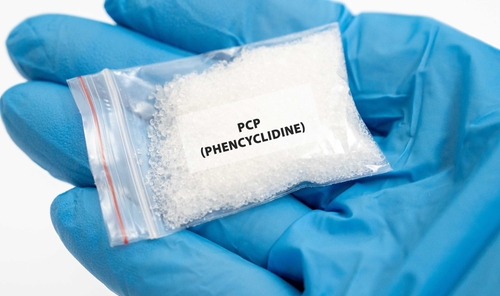 A gloved hand holding a small bag labeled “PCP (Phencyclidine),” representing cases handled with the support of a Tampa PCP Lawyer.